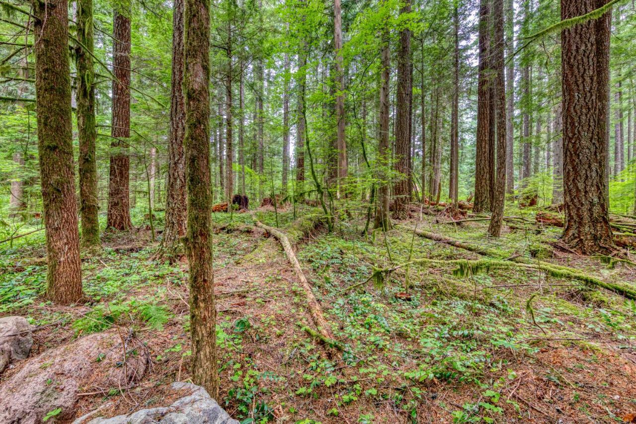 Sycamore Lodge Rhododendron Экстерьер фото